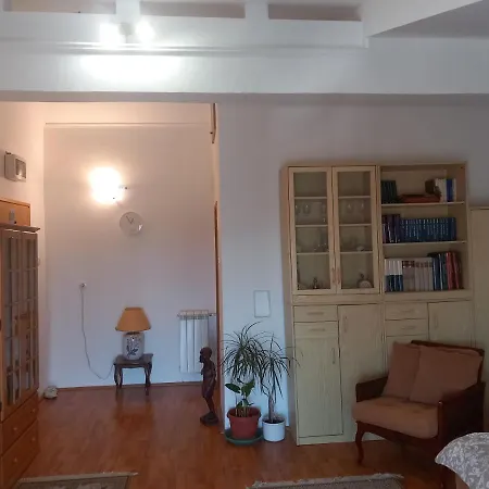 Cosy Rooftop With Balcony Apartment Belgrade